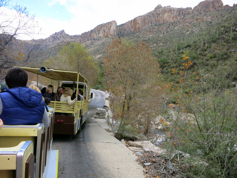 Sabino Canyon Tram