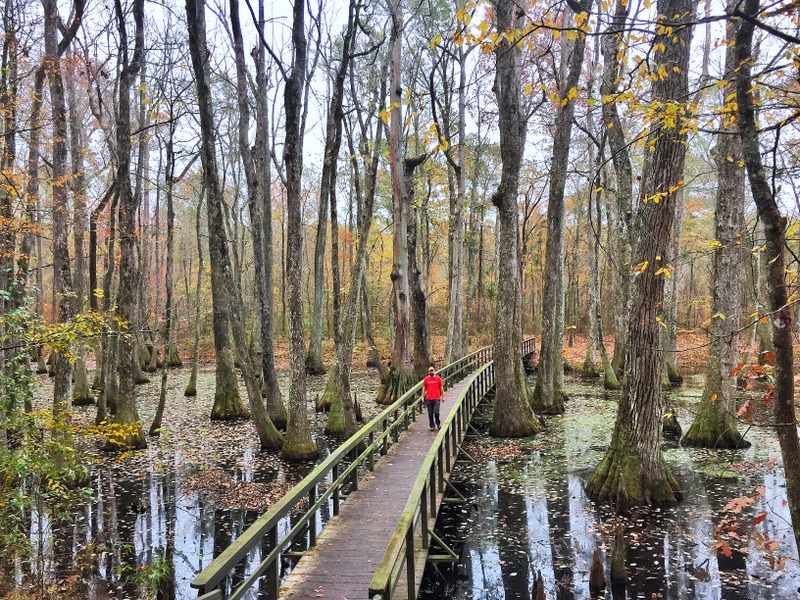 Natchez Trace Parkway