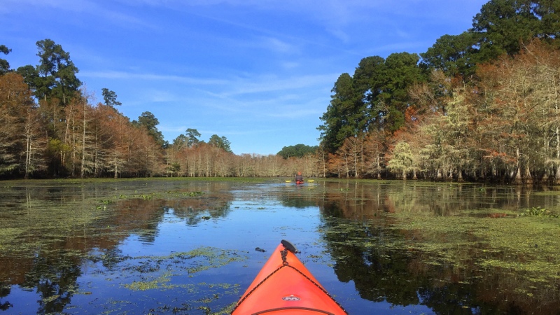 East Texas