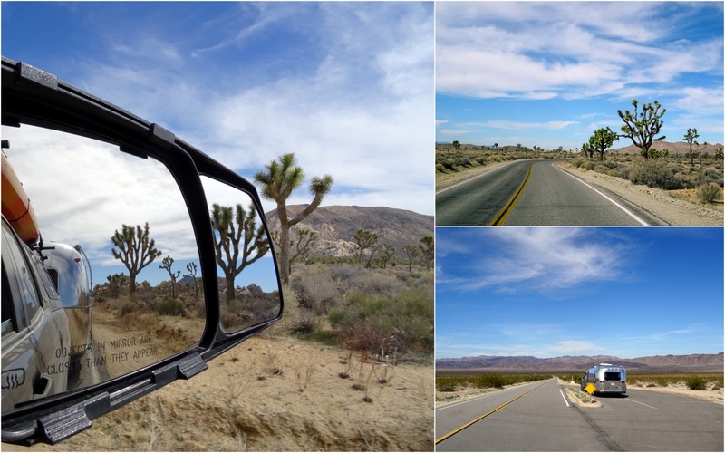 Joshua Tree Boondocking