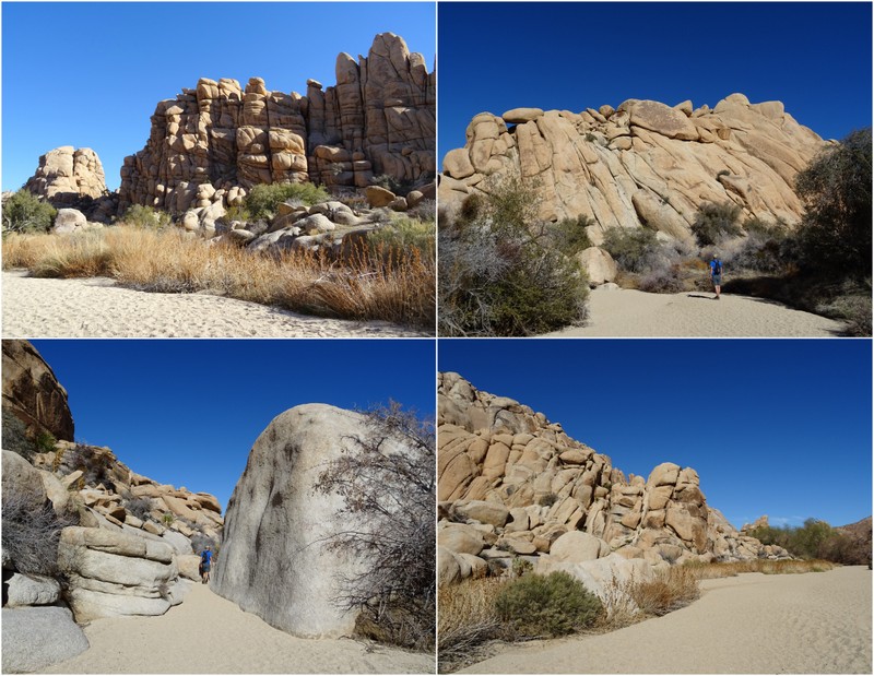 Joshua Tree Boondocking