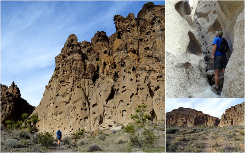 Mojave National Preserve