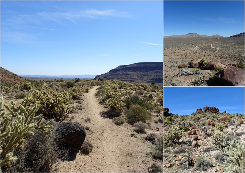 Mojave National Preserve