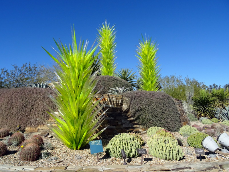 Desert Botanical Garden