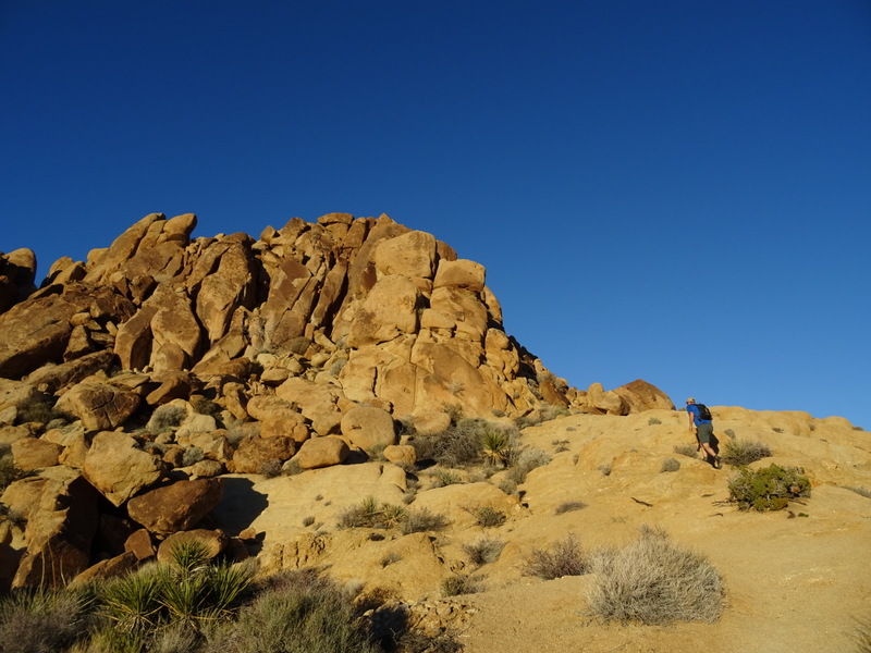 Joshua Tree Boondocking