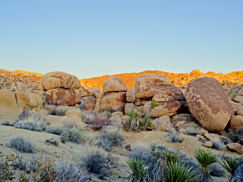 Joshua Tree Boondocking