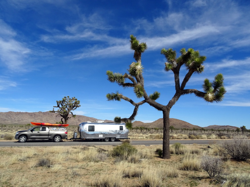 joshua-tree-boondocking