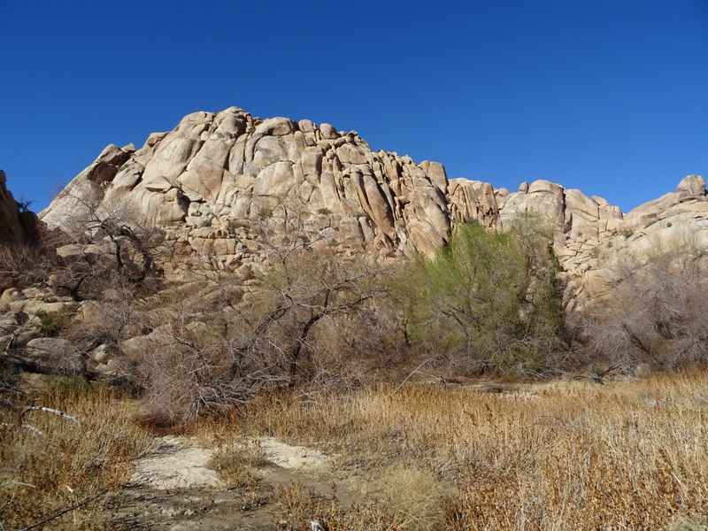 Joshua Tree Boondocking