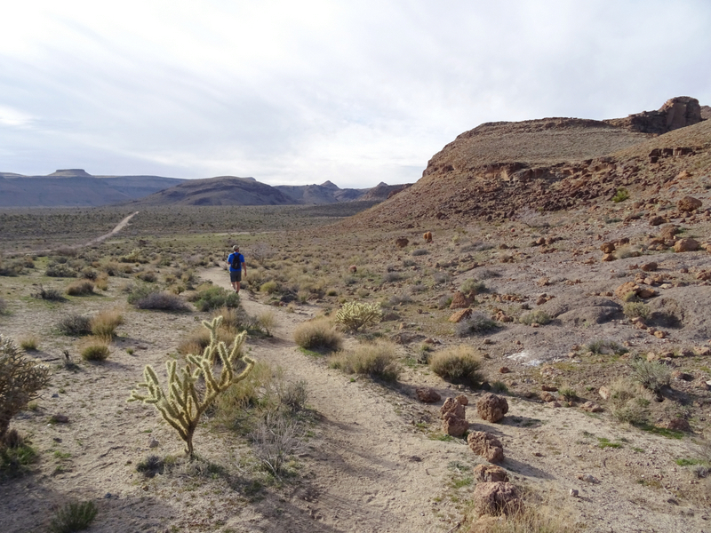 Mojave National Preserve