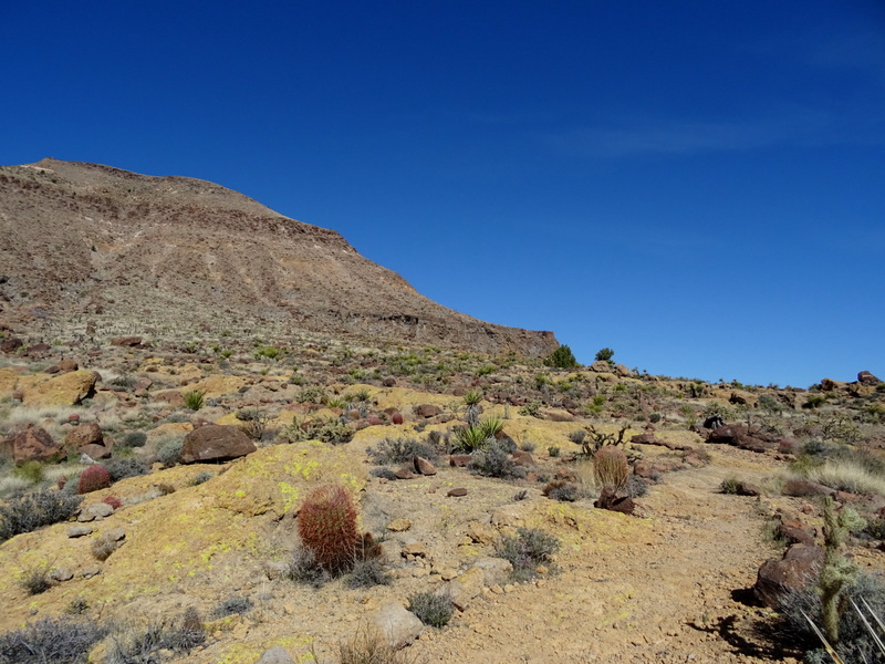 Mojave National Preserve