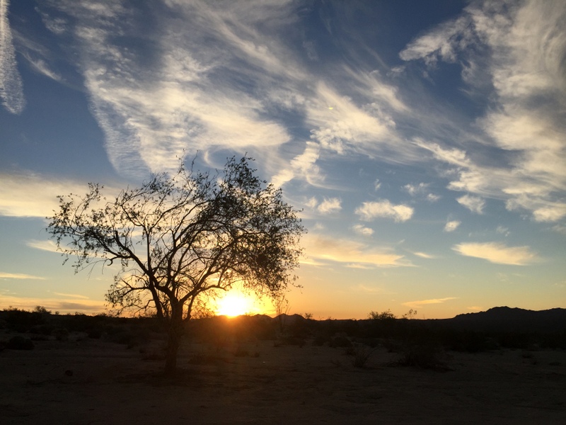 Joshua Tree Boondocking 