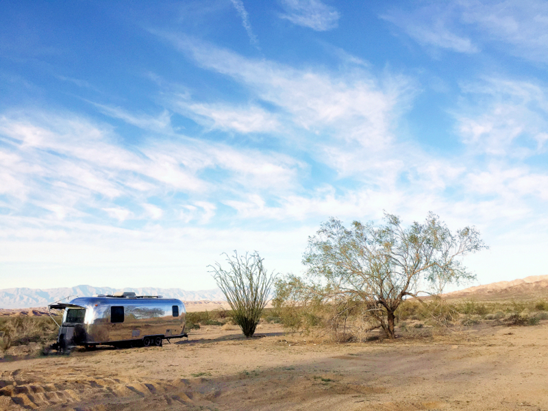 Joshua-tree-boondocking