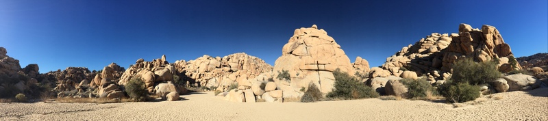 Joshua Tree Boondocking