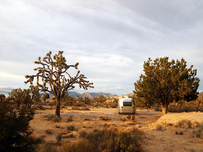 Mojave National Preserve