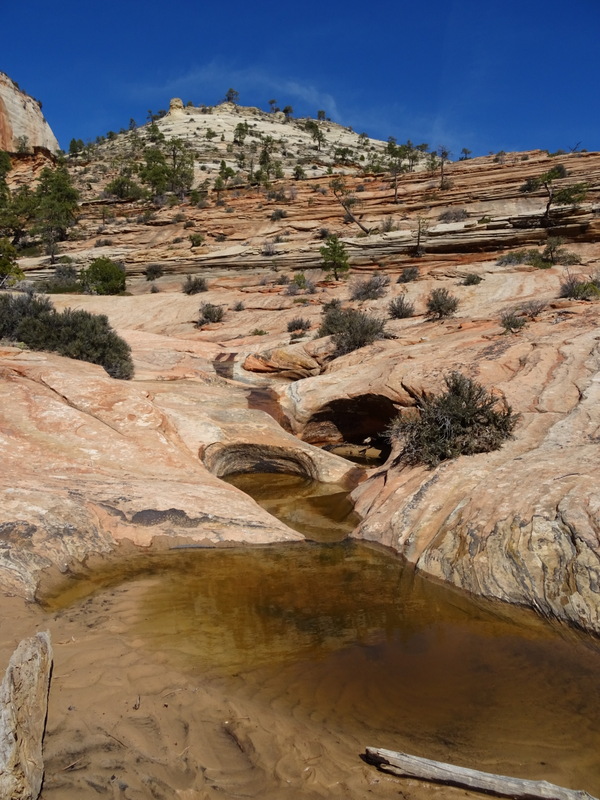 Zion National Park