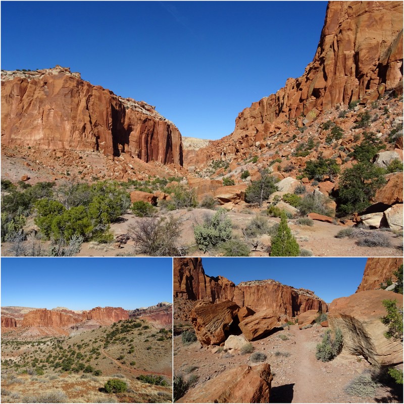 Capitol Reef National Park