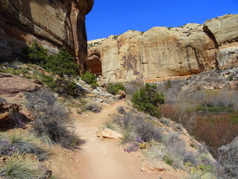 Lower Calf Creek Falls