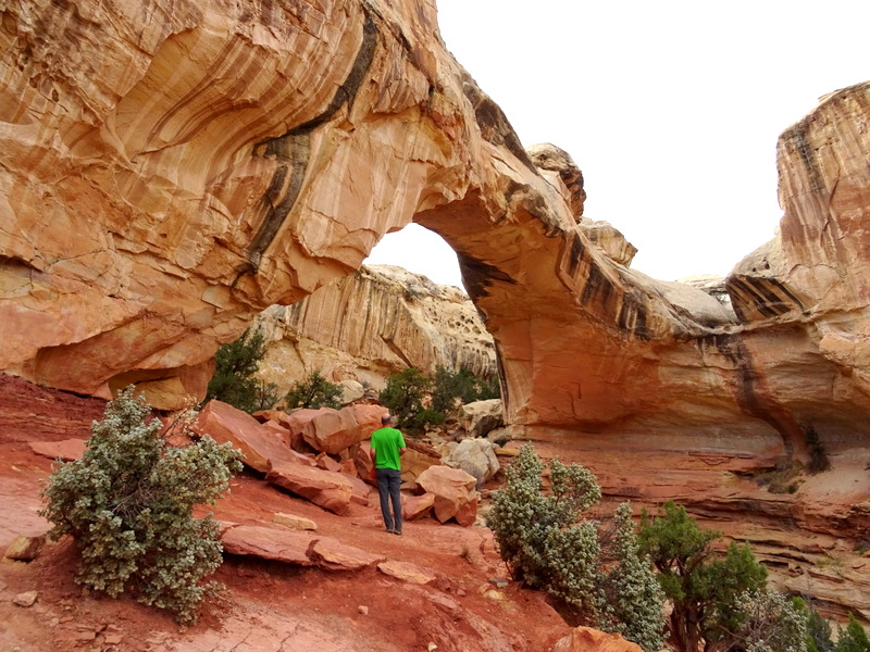 Capitol Reef National Park