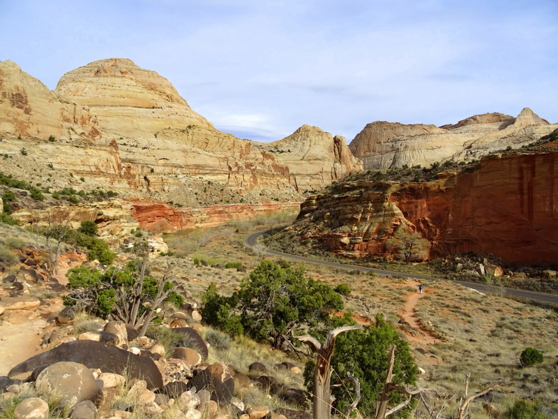 Capitol Reef National Park