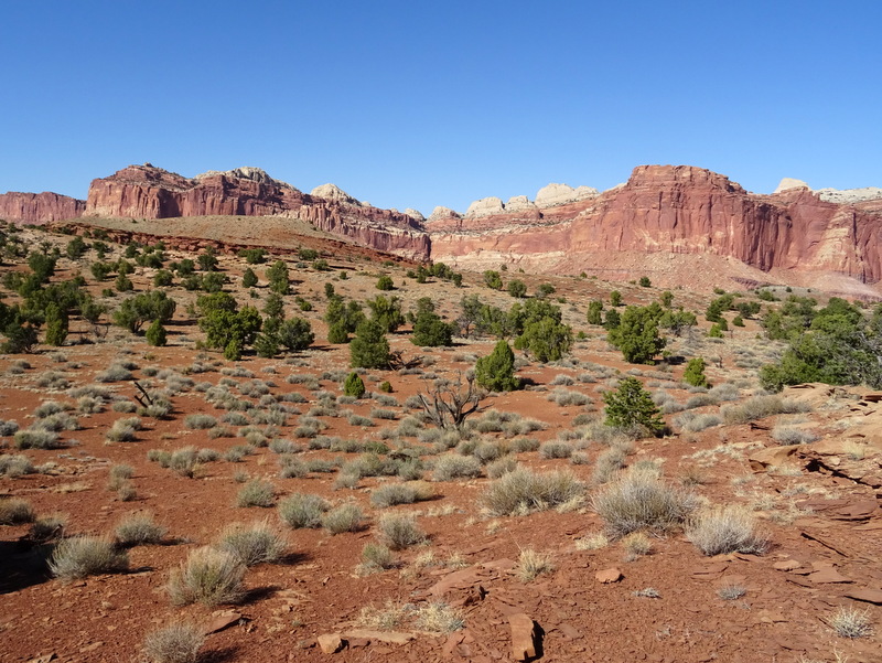 Capitol Reef National Park