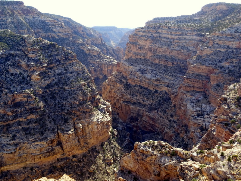 Capitol-reef-national-park