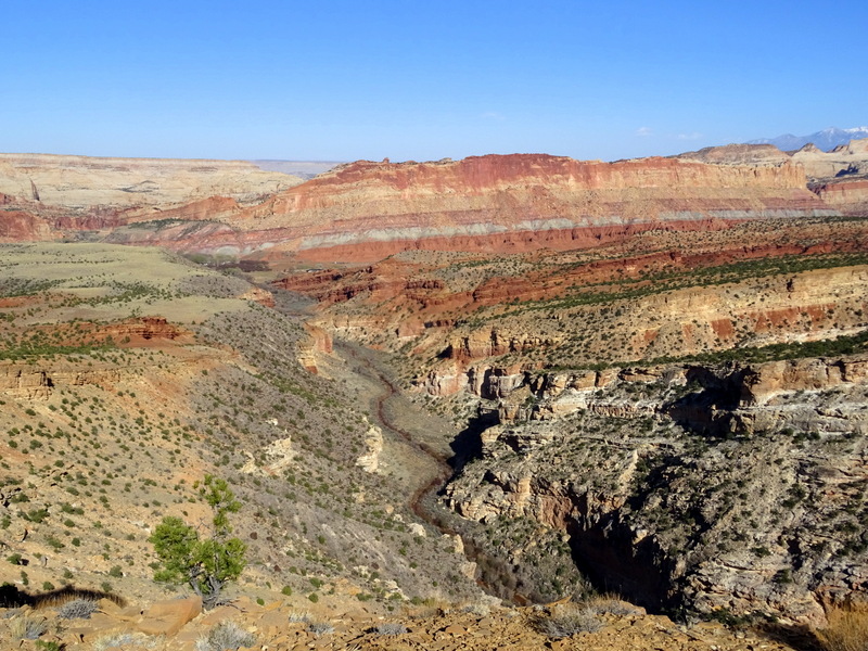 Capitol Reef National Park