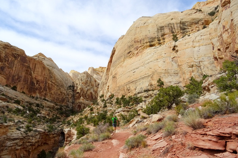 Capitol Reef National Park