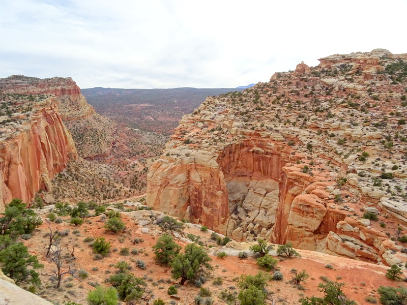 Capitol Reef National Park