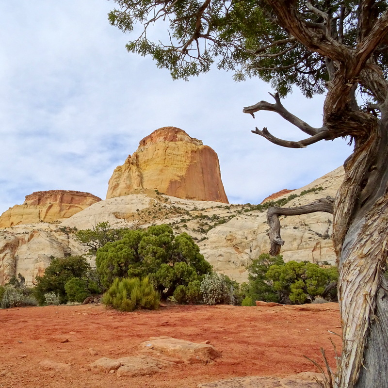 Capitol Reef National Park