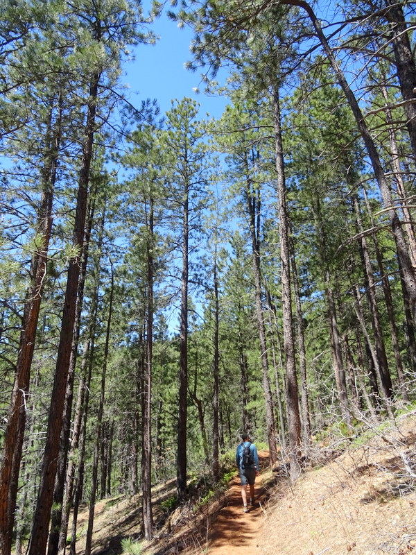 Crow Peak Trail