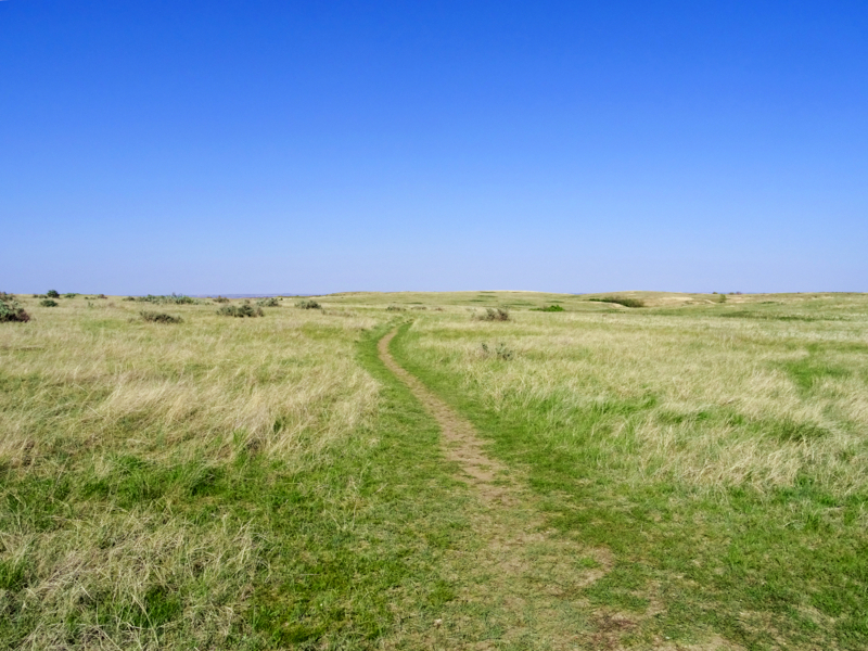 Theodore Roosevelt National Park