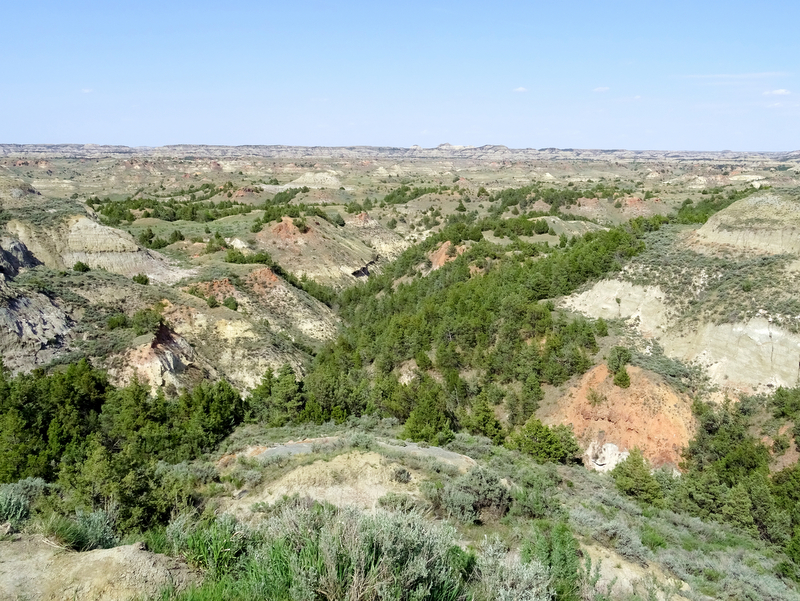 Theodore Roosevelt National Park