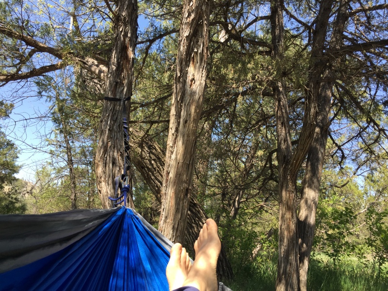 Theodore Roosevelt National Park