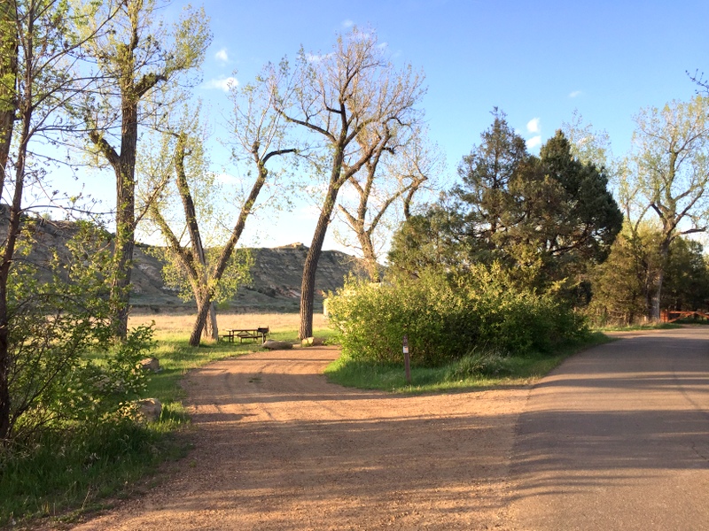 Theodore Roosevelt National Park