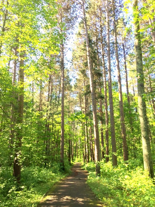 Migizi Trail