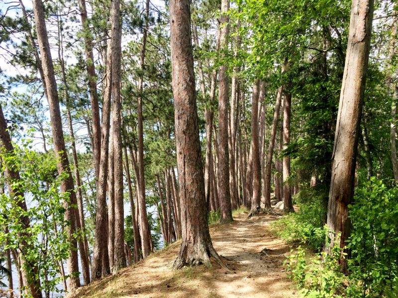 Scenic State Park