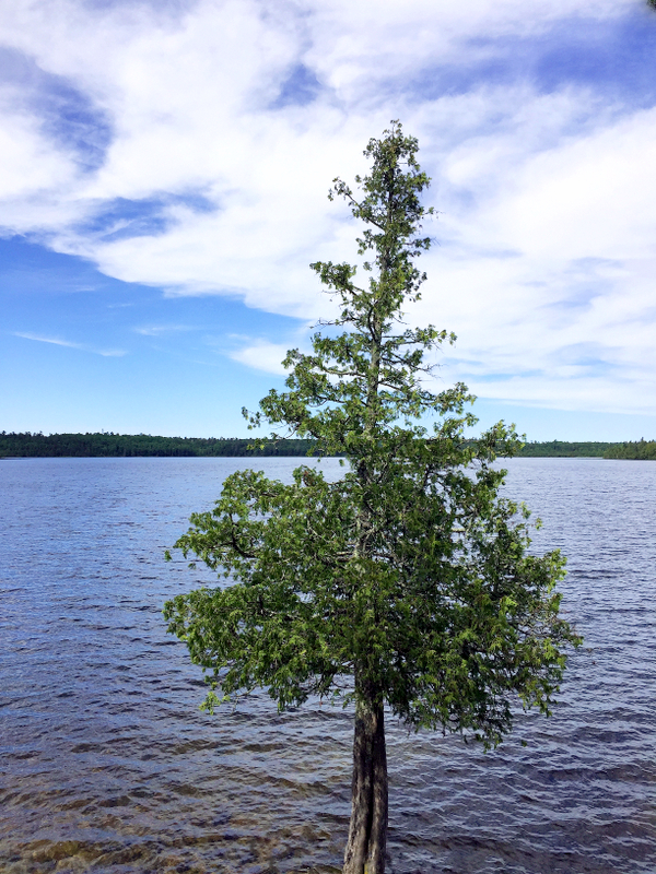 Scenic State Park