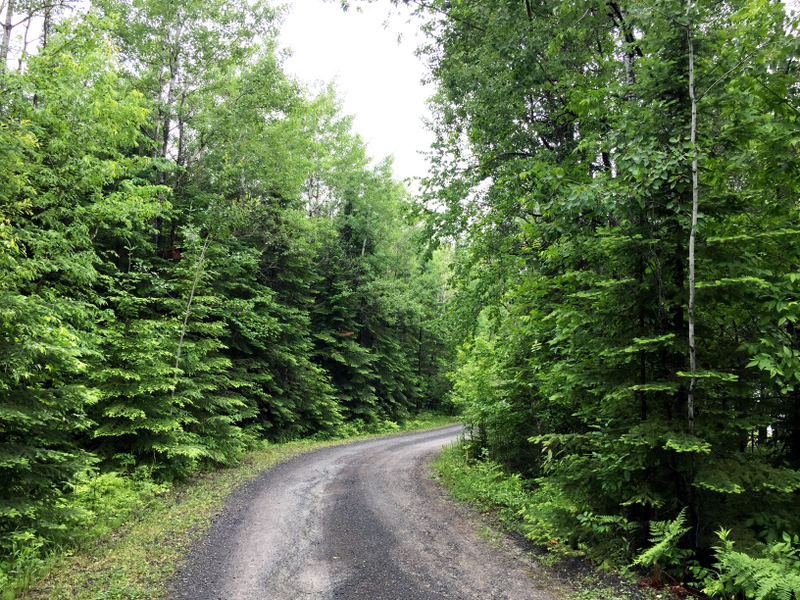 Wooden Frog Campground