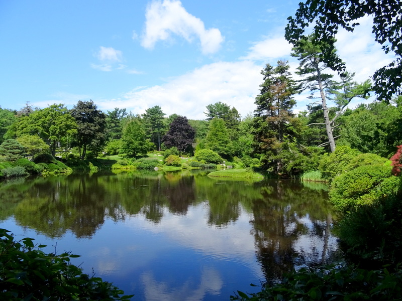 Asticou Azalea Gardens