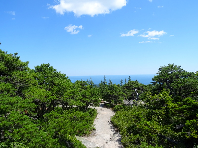 Cadillac South Ridge Trail