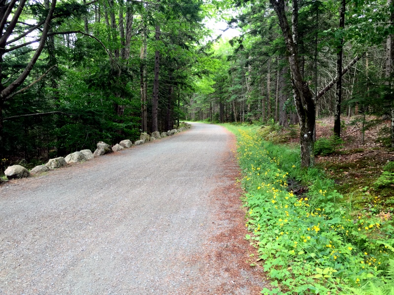 Acadia National Park