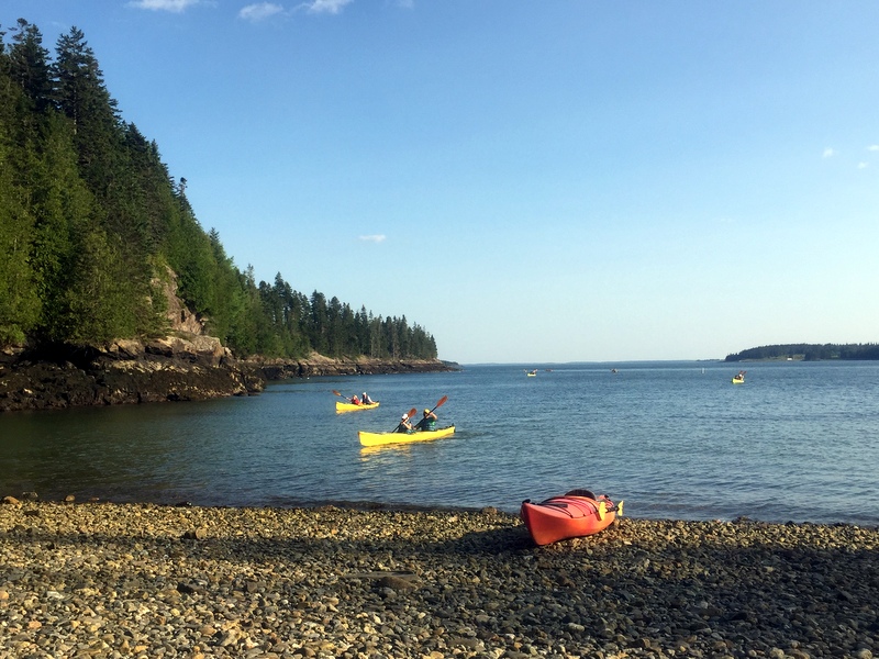 Dogfish Cove Maine