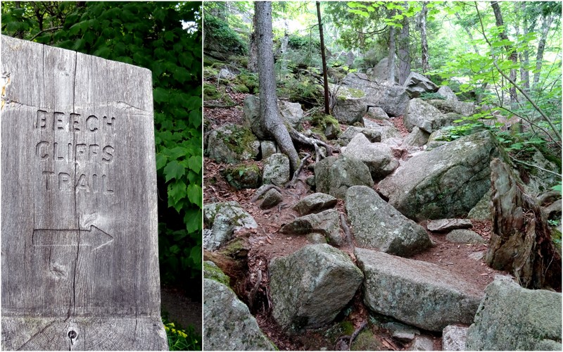 Beech Cliff Trail