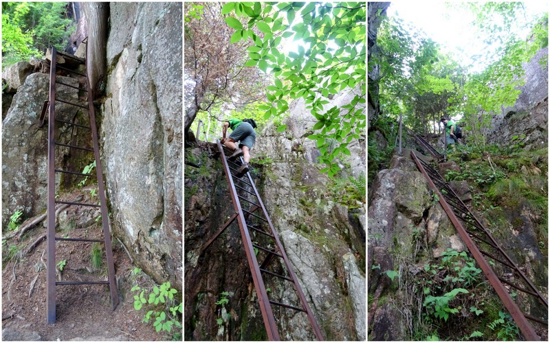 Beech Cliff Trail