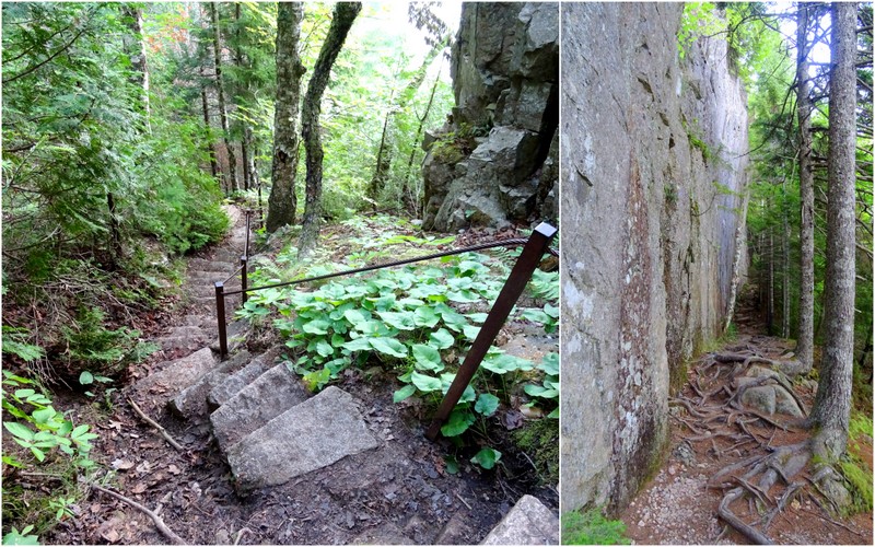 Beech Cliff Trail