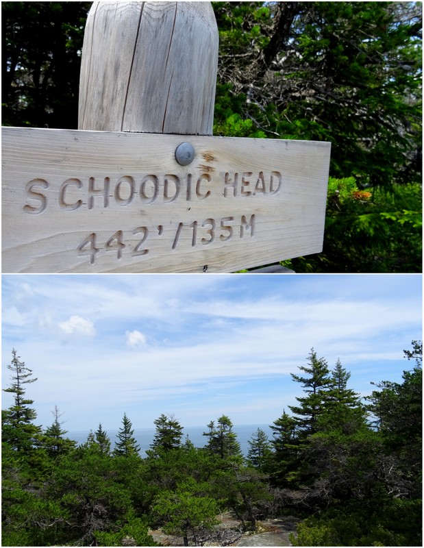 Schoodic Peninsula