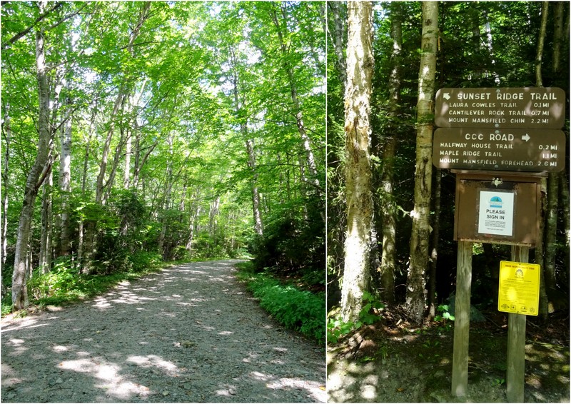 Mount Mansfield