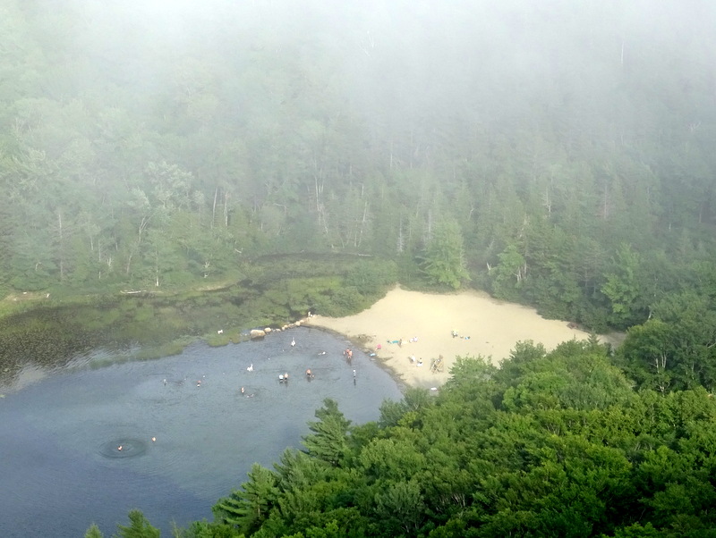 Echo Lake Beech