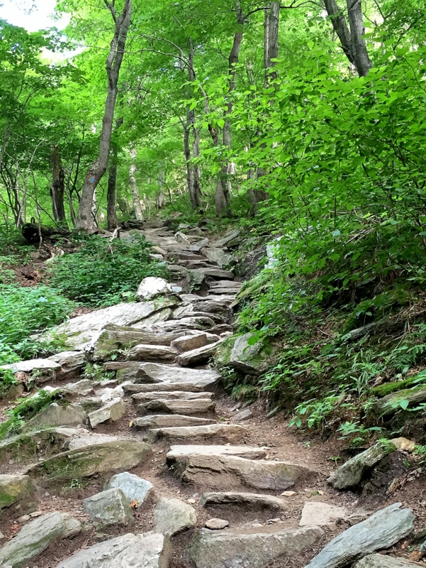 Sterling Pond Trail