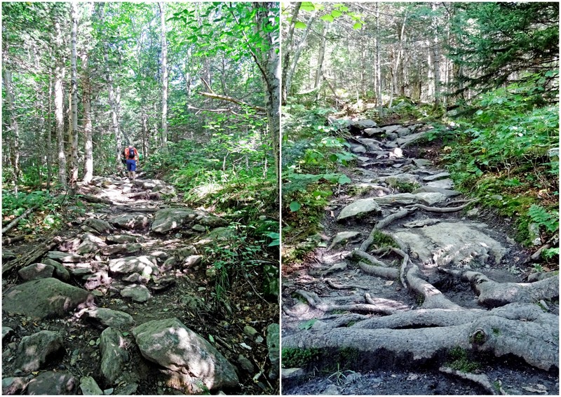 Mount Mansfield